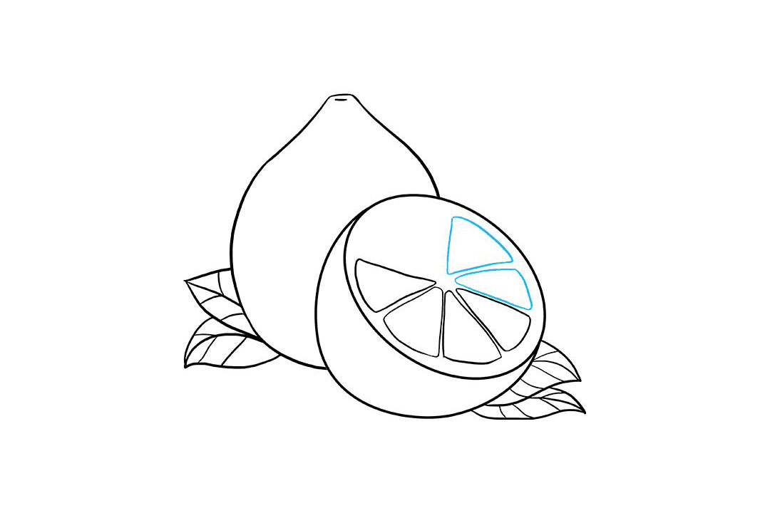 如何画柠檬简笔画-图8