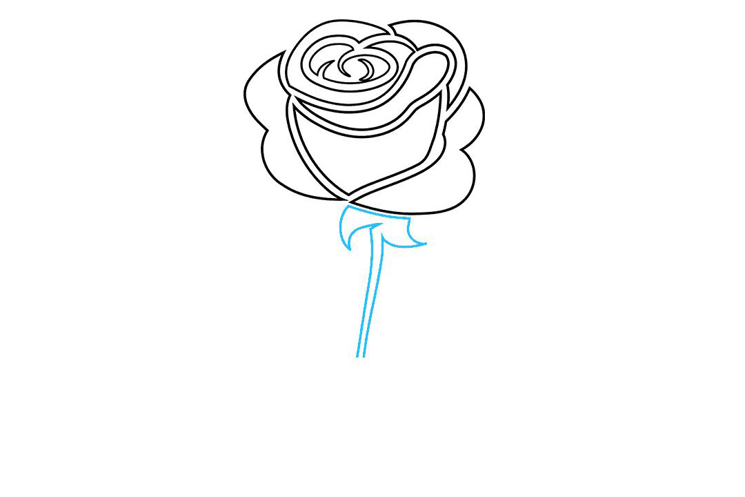 如何画玫瑰纹身图片-图7