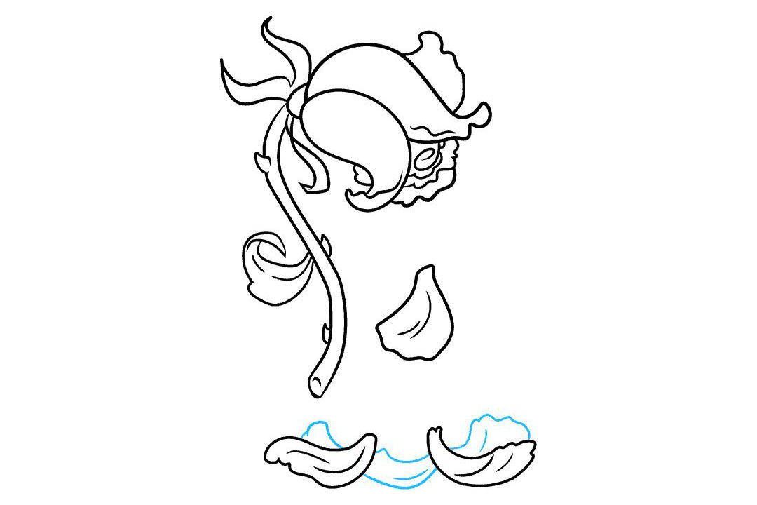 如何画一朵凋零的玫瑰花-图8