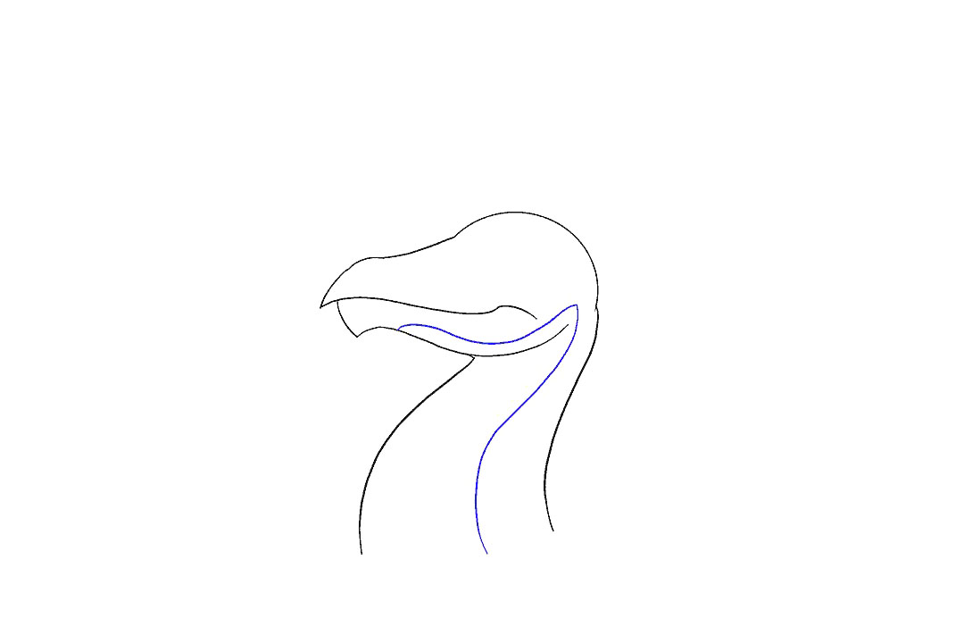 如何画龙首简笔画-图10