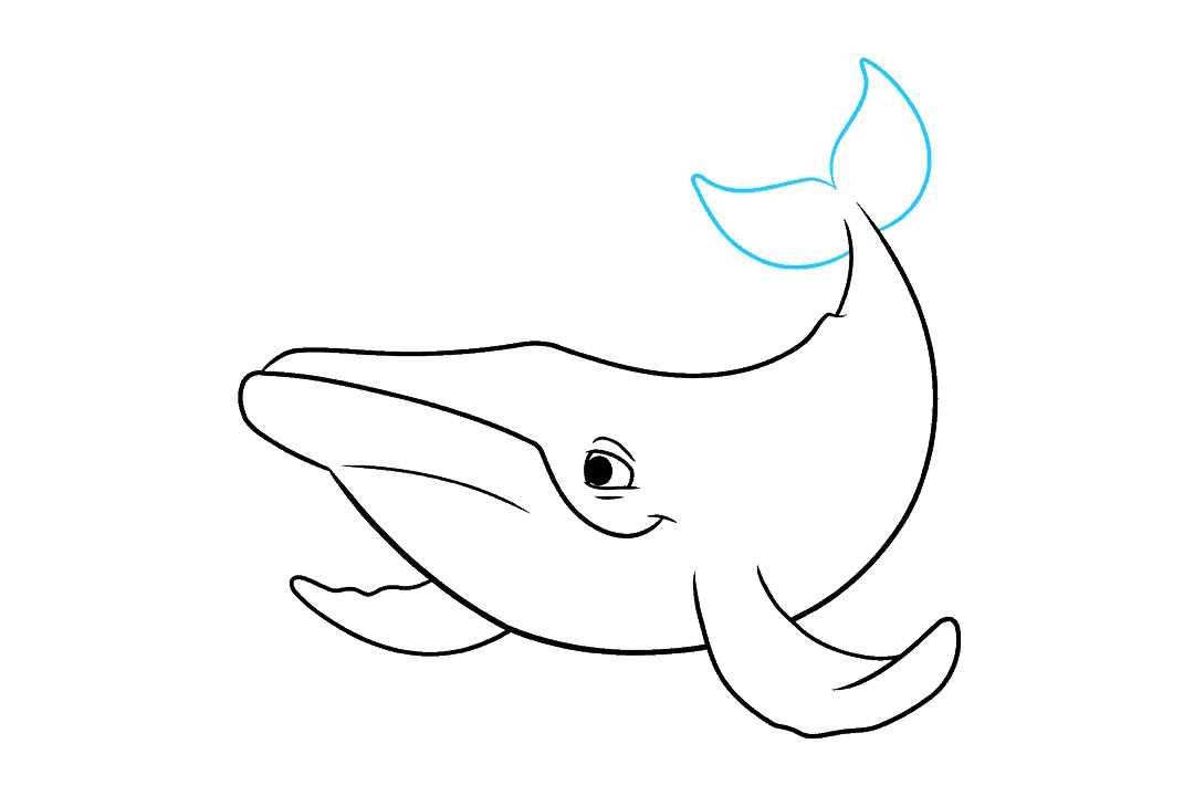 座头鲸怎么画-图6