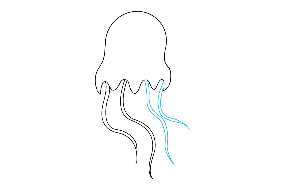 水母怎么画-图5