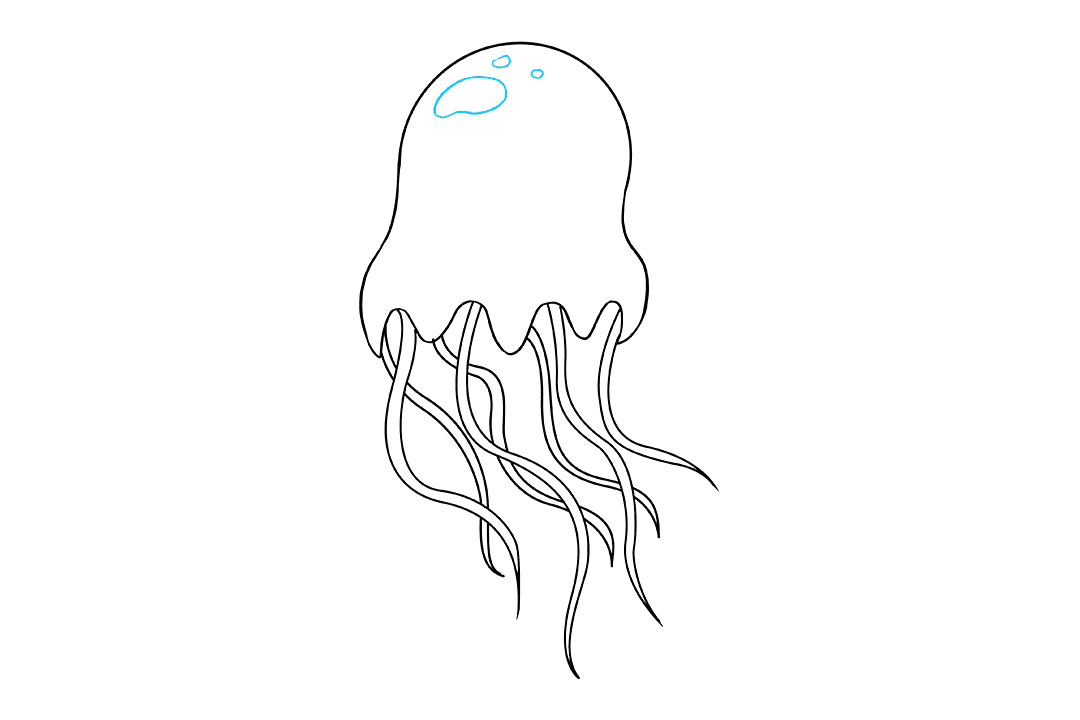 水母怎么画-图8