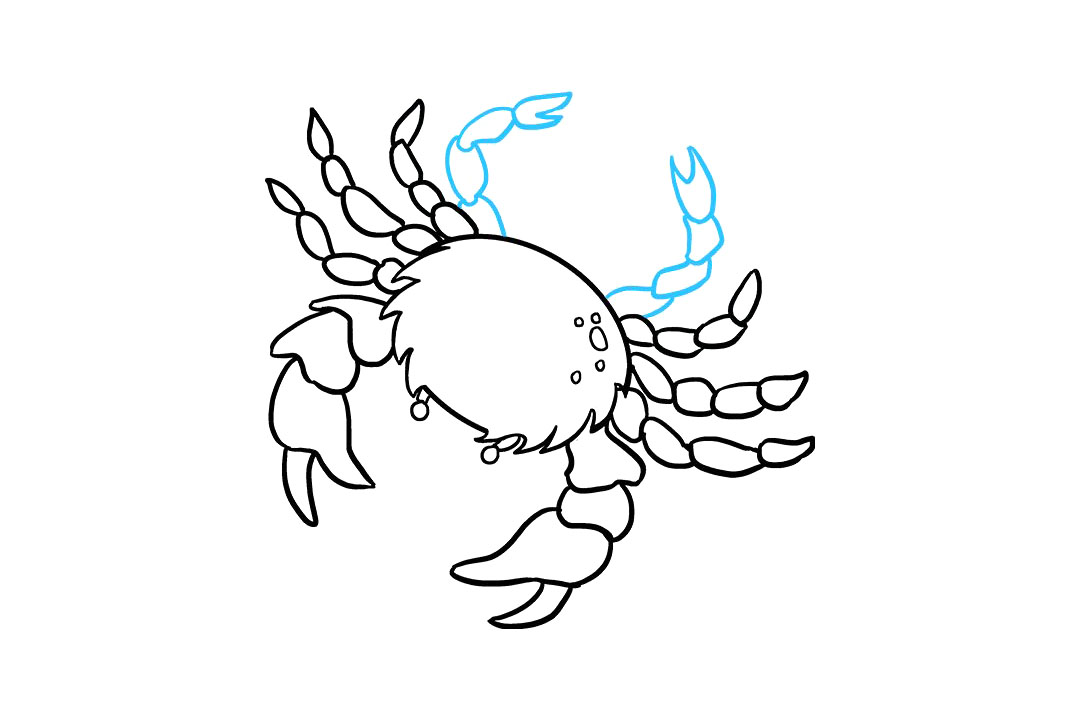 螃蟹的画法-图9