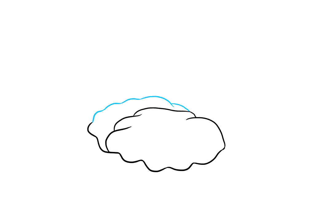 如何画珍珠牡蛎-图3