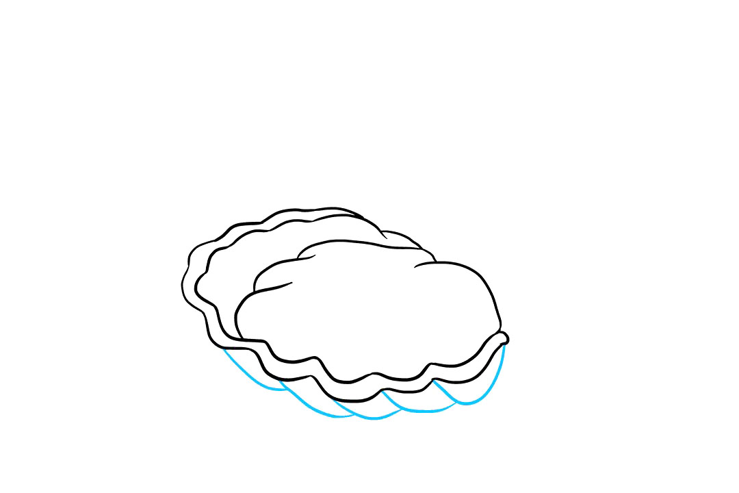 如何画珍珠牡蛎-图5