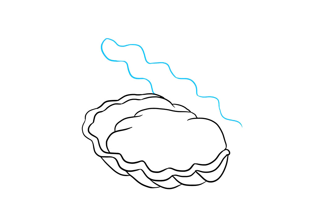 如何画珍珠牡蛎-图6