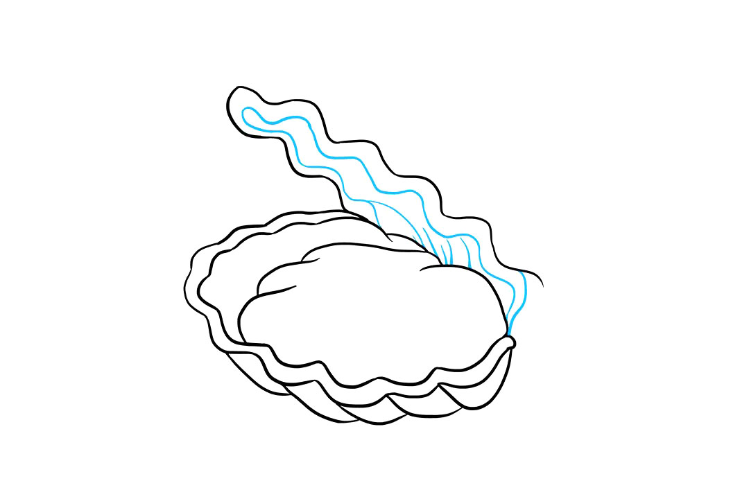 如何画珍珠牡蛎-图7