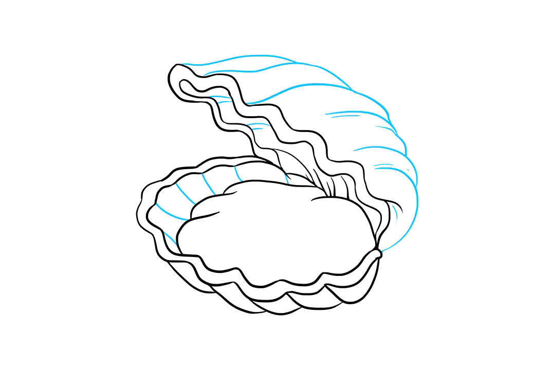 如何画珍珠牡蛎-图8