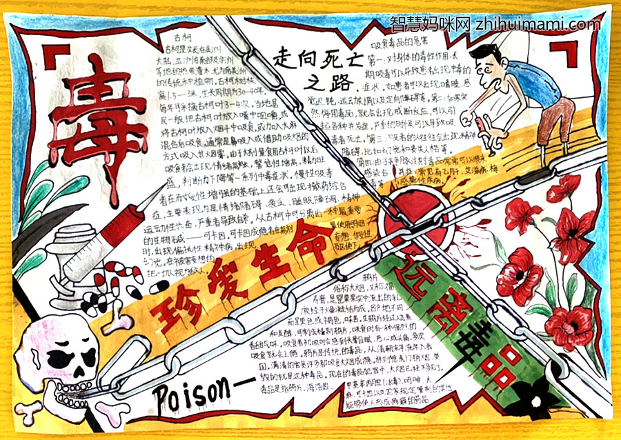 初中生禁毒教育手抄报一等奖-图1