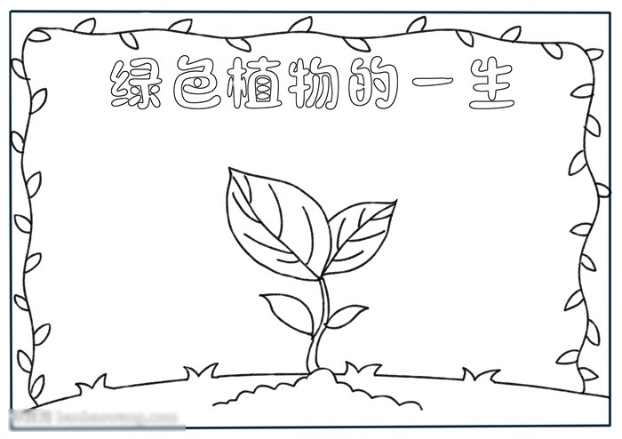 绿色植物的一生手抄报-图1
