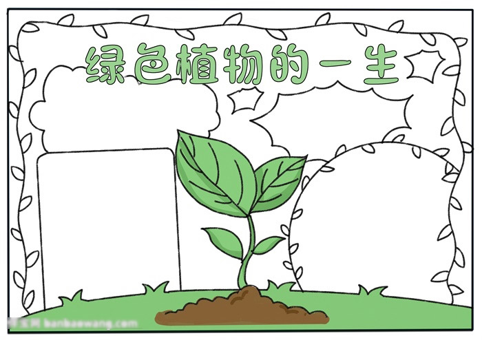 绿色植物的一生手抄报-图3