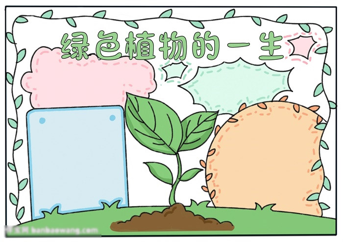绿色植物的一生手抄报-图4