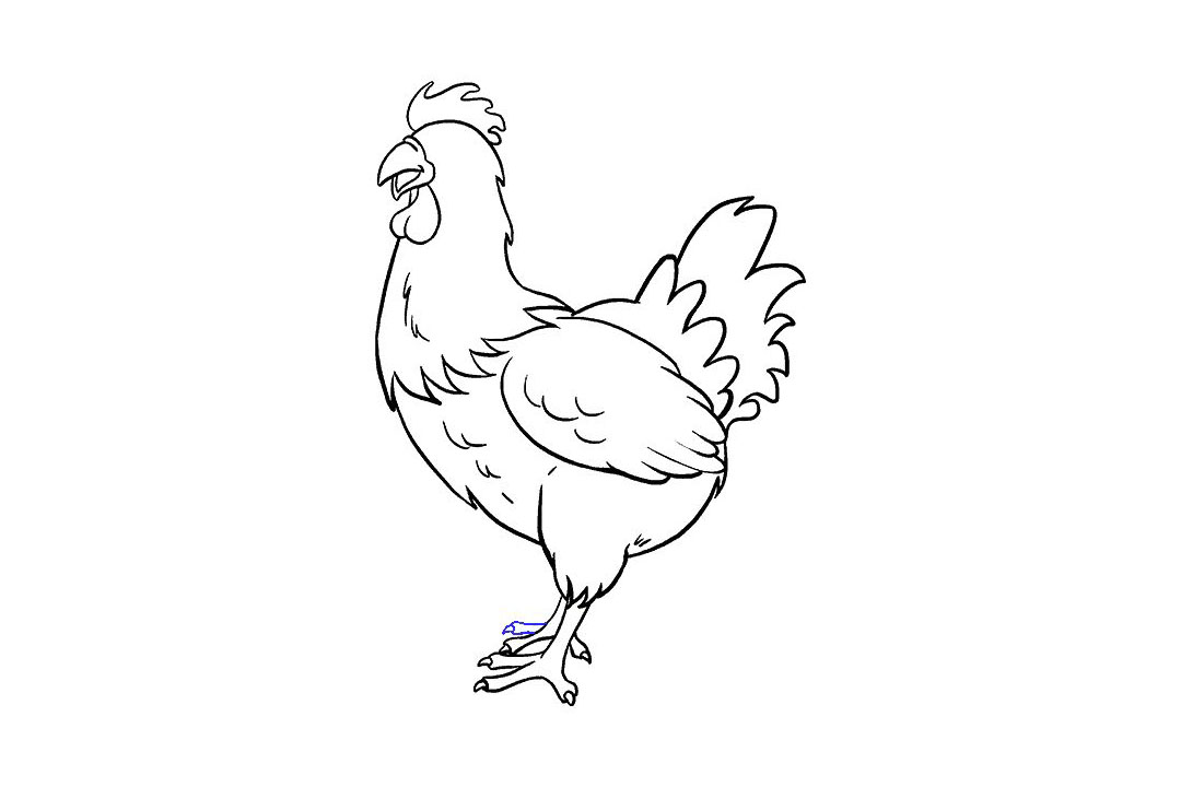 母鸡怎么画-图8