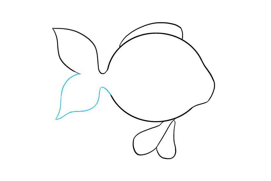 金鱼怎么画-图6