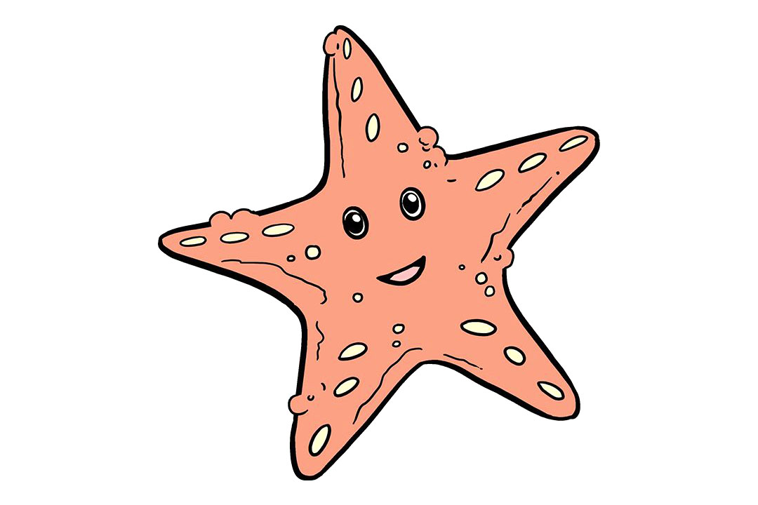 如何画可爱的海星简笔画