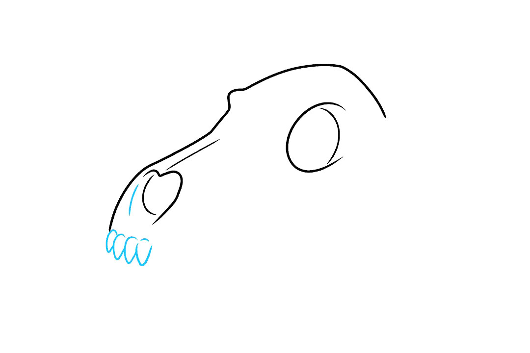 狼的头骨怎么画-图3