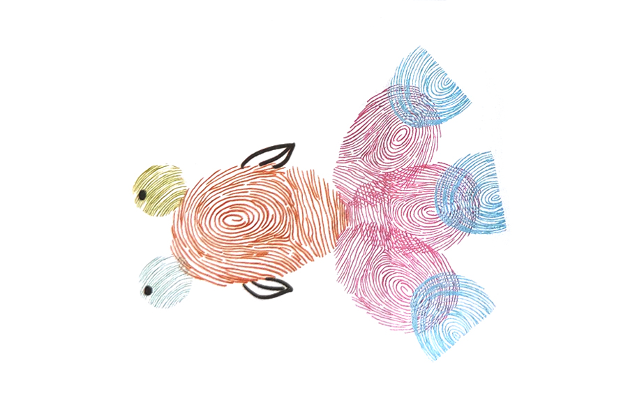 步骤3：画眼珠和两边的鳍。