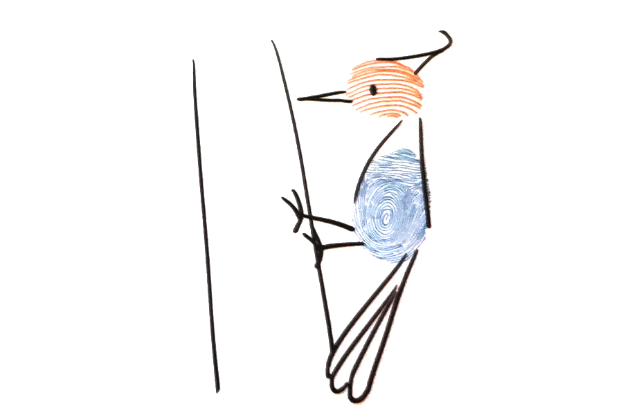 简单好画的啄木鸟手指画画法步骤