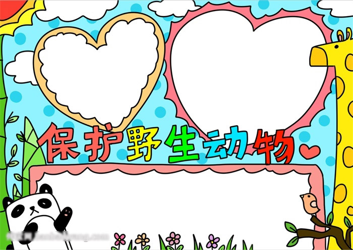 超好看的保护野生动物手抄报-图4