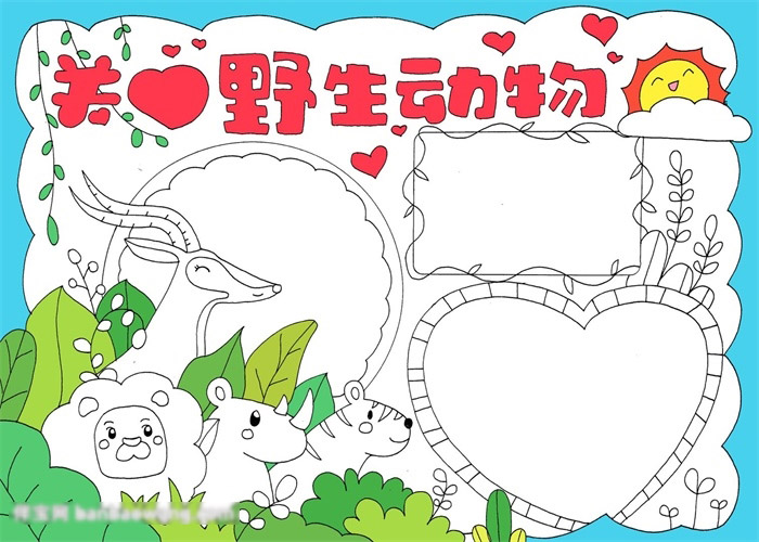 关爱野生动物的手抄报-图3