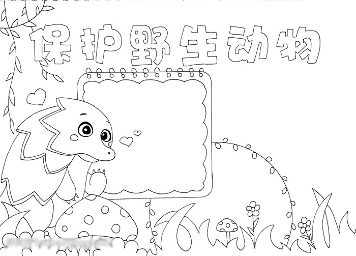 漂亮好画的保护野生动物手抄报-图2