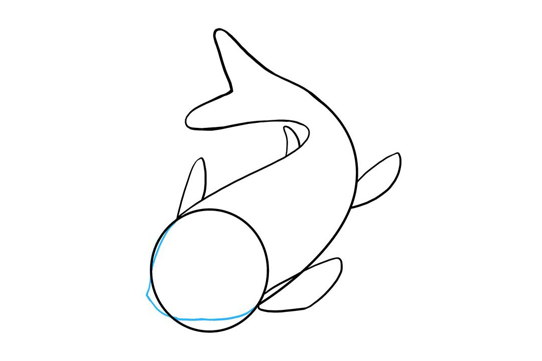 如何画锦鲤鱼简笔画-图5