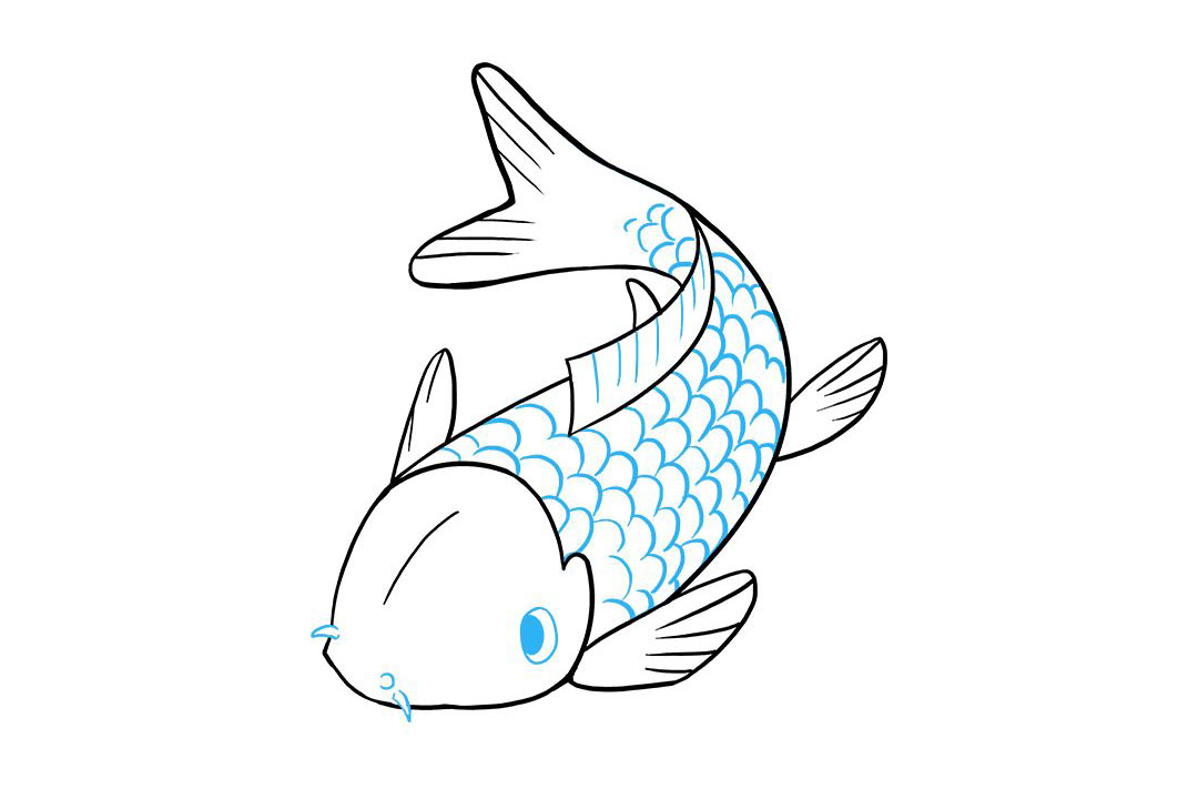 如何画锦鲤鱼简笔画-图9
