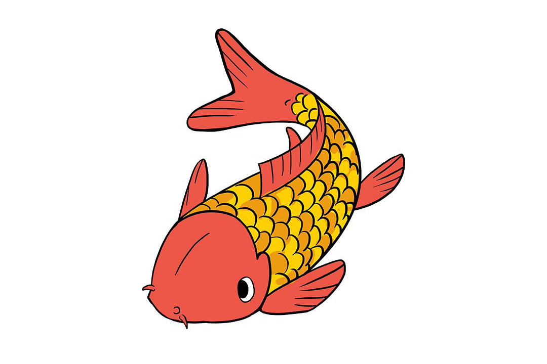 如何画锦鲤鱼简笔画