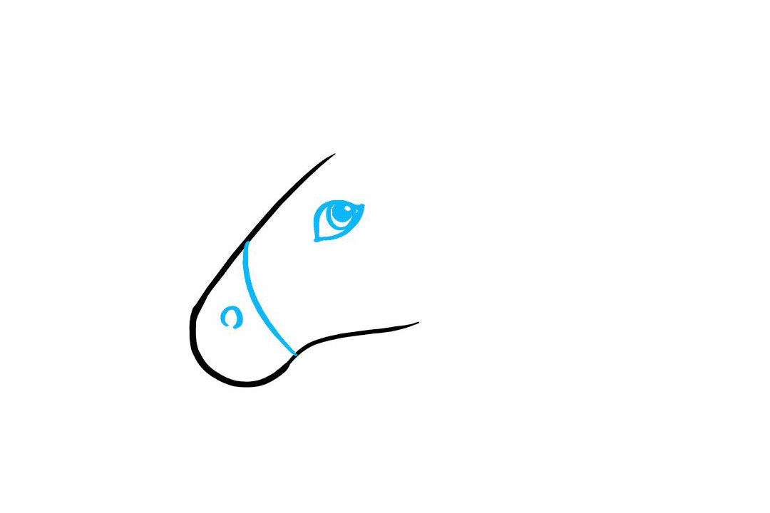 如何画独角兽头像-图2