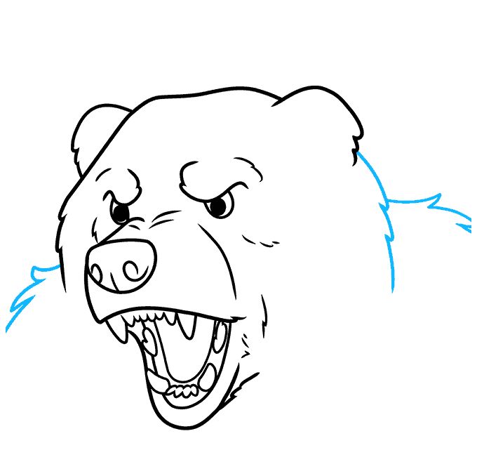 生气的熊大怎么画-图8