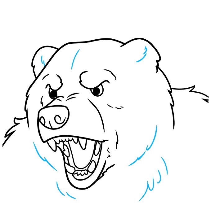 生气的熊大怎么画-图9