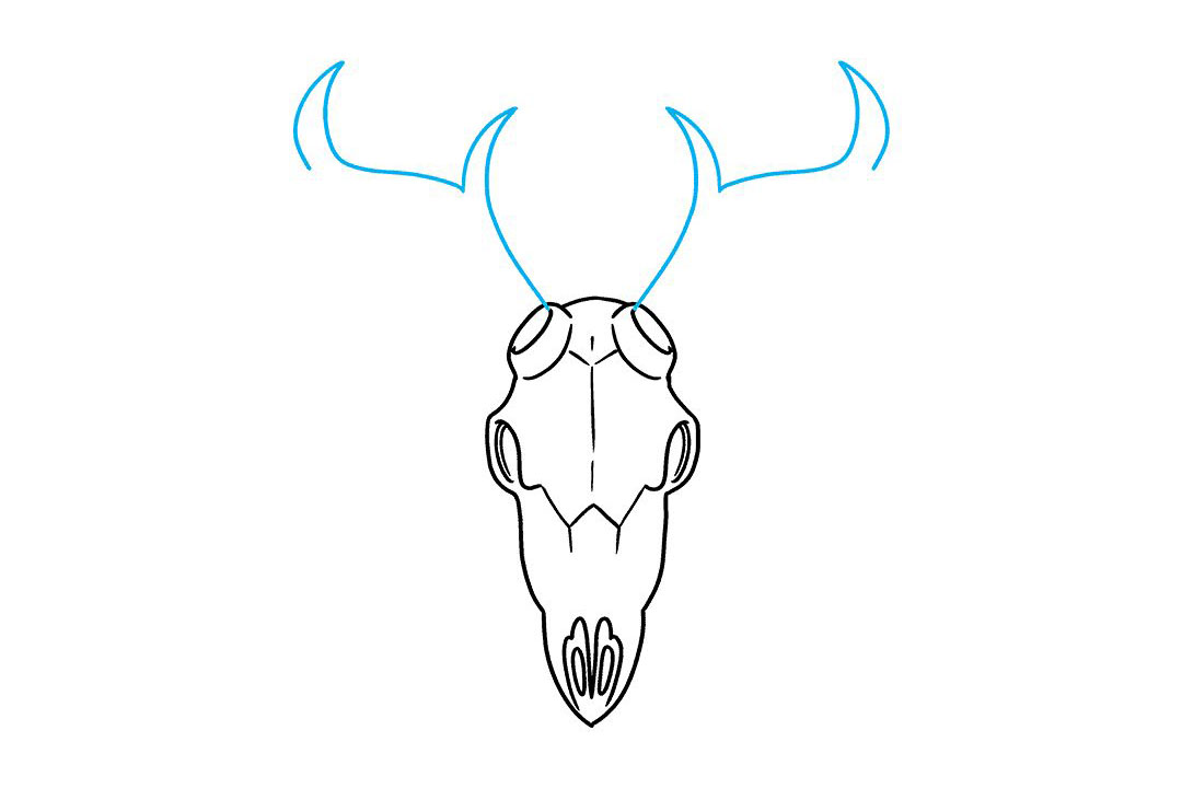 鹿的头骨怎么画-图8