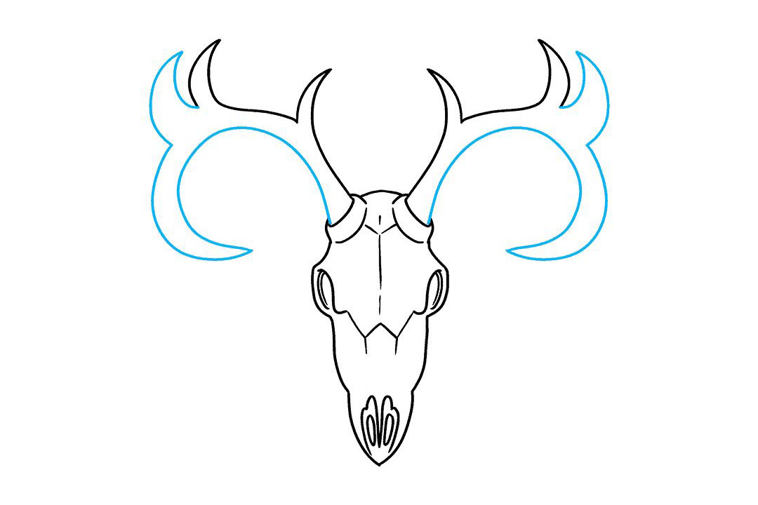 鹿的头骨怎么画-图9