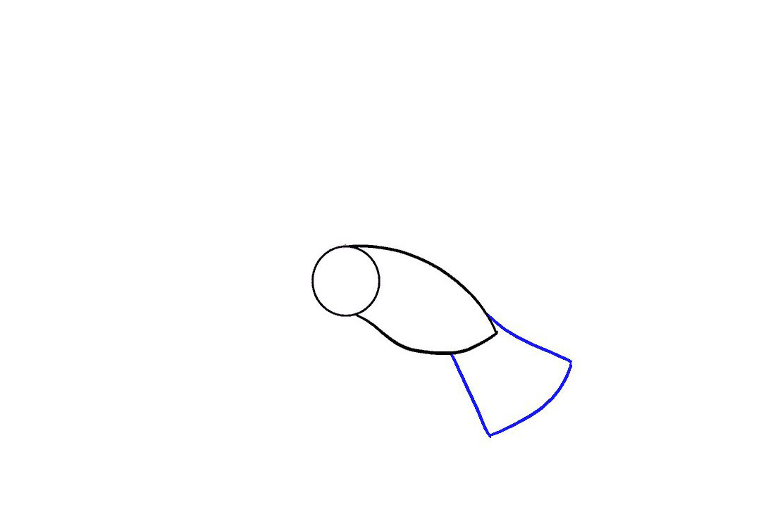 飞翔的小鸟怎么画-图3