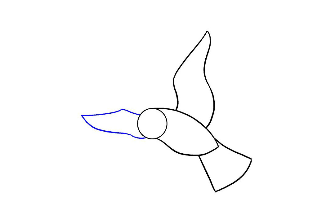 飞翔的小鸟怎么画-图5