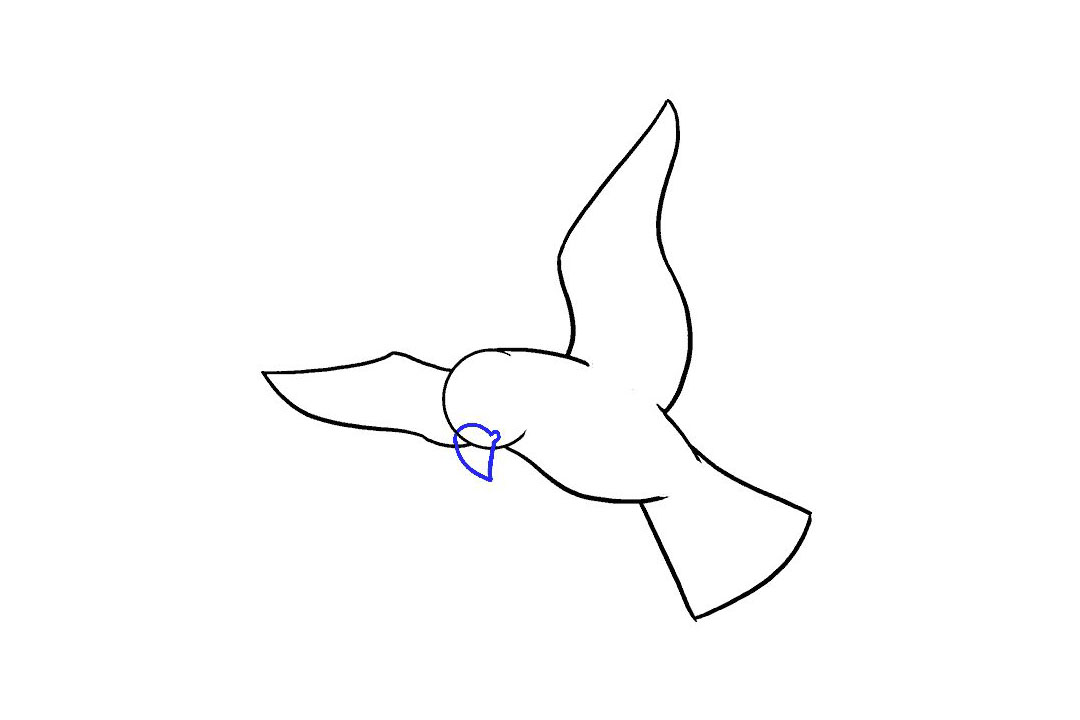 飞翔的小鸟怎么画-图7
