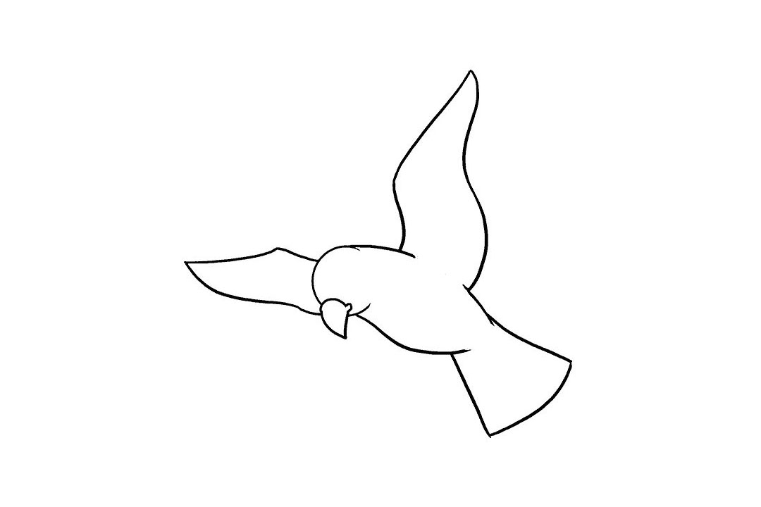 飞翔的小鸟怎么画-图8