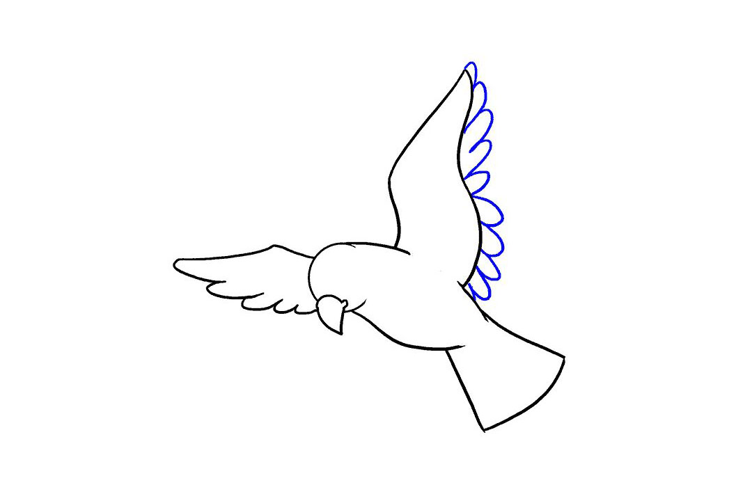 飞翔的小鸟怎么画-图11