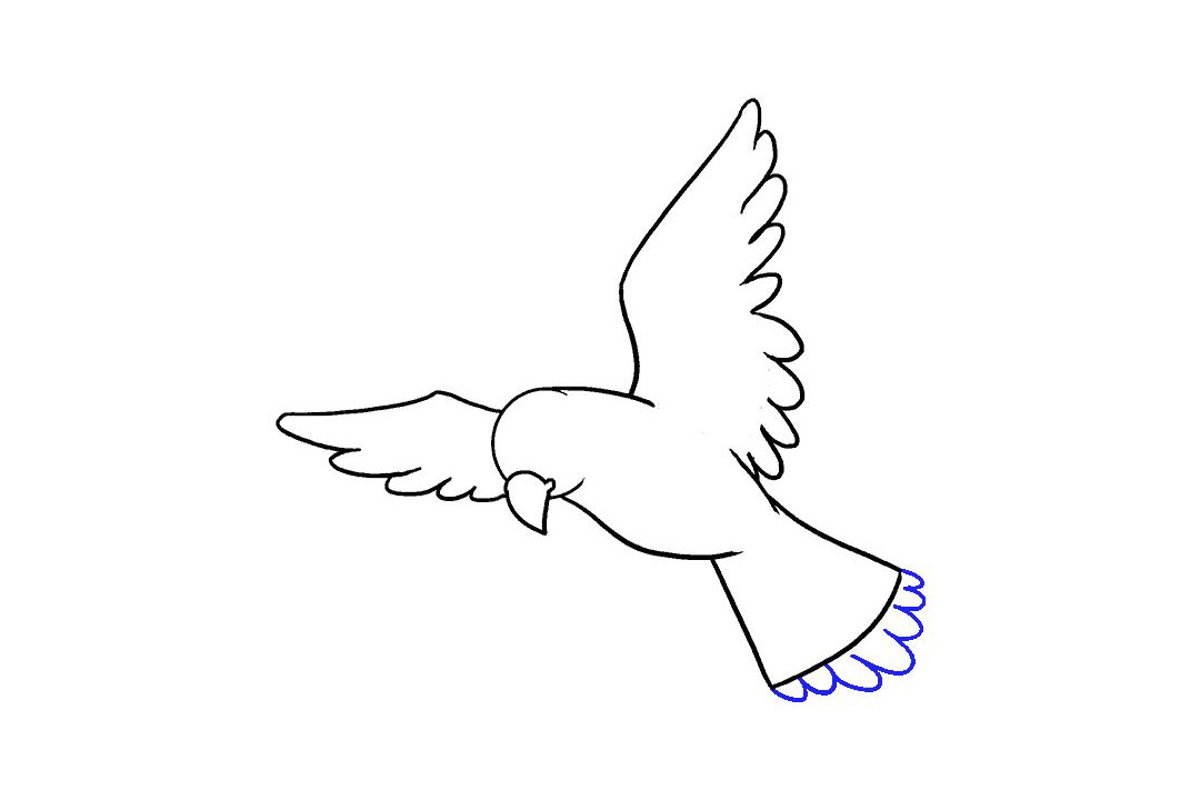 飞翔的小鸟怎么画-图13