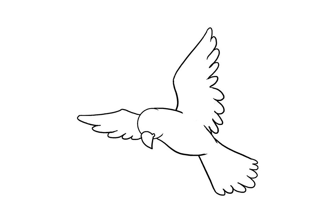 飞翔的小鸟怎么画-图14
