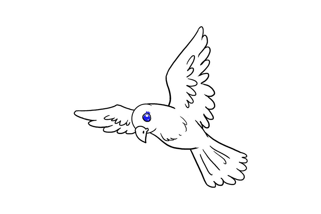 飞翔的小鸟怎么画-图17
