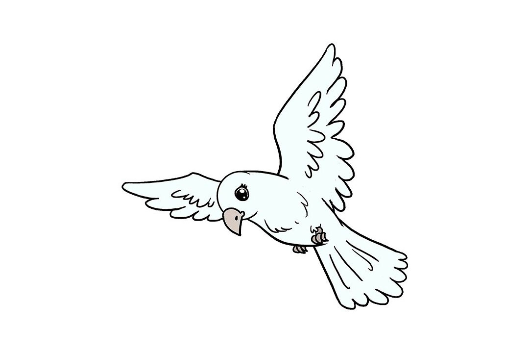 飞翔的小鸟怎么画