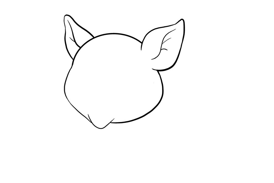 如何画小猪-图4