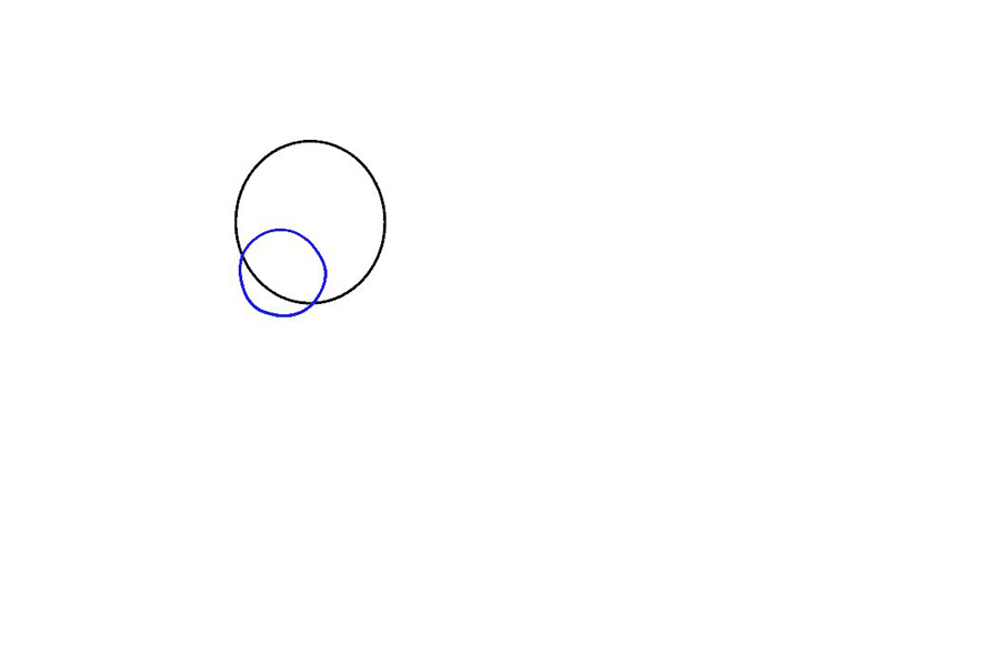 如何画棕熊-图2