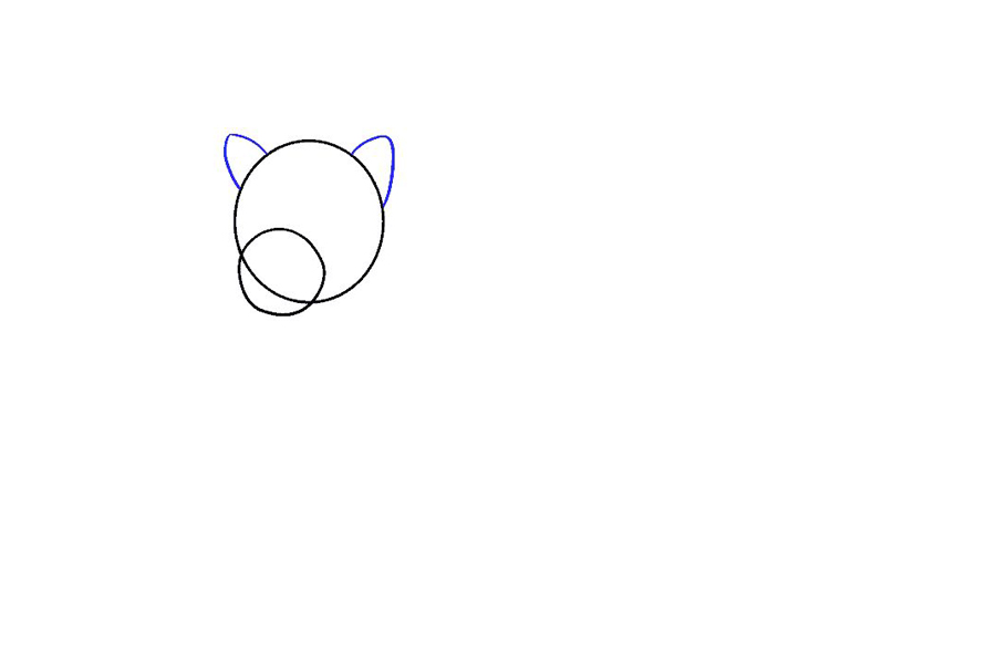 如何画棕熊-图3