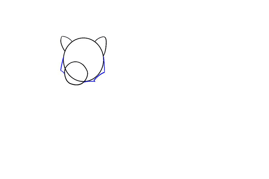 如何画棕熊-图4