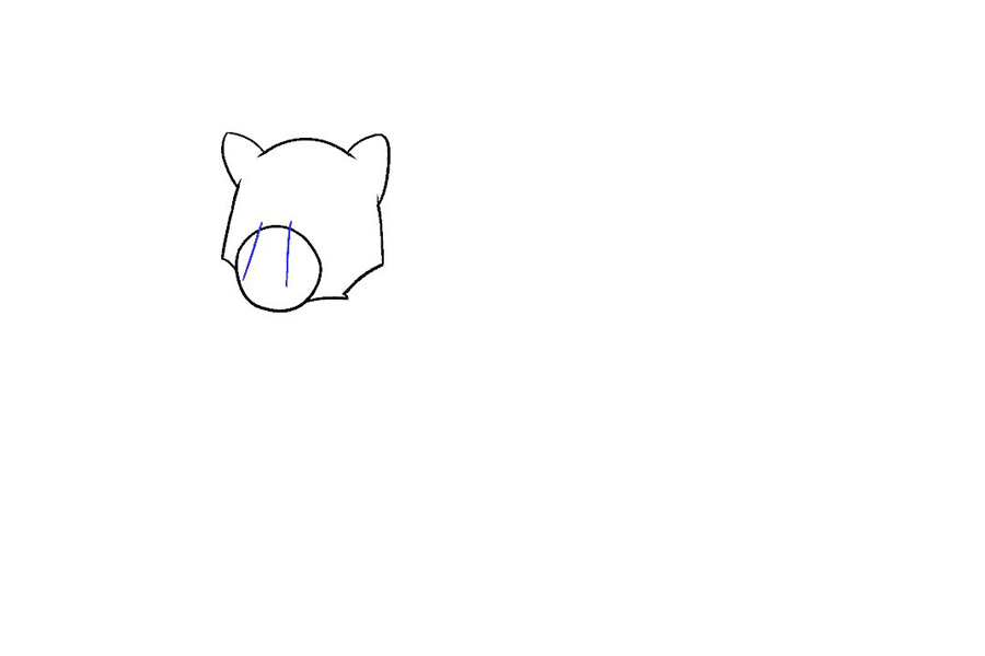 如何画棕熊-图6