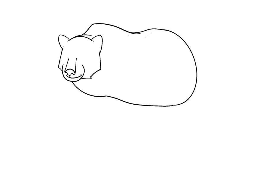 如何画棕熊-图12