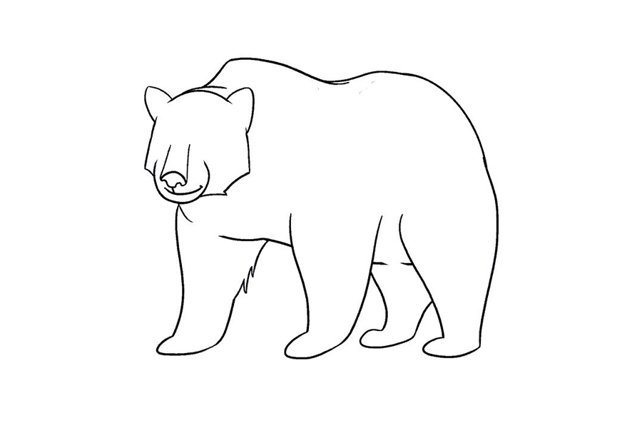 如何画棕熊-图16